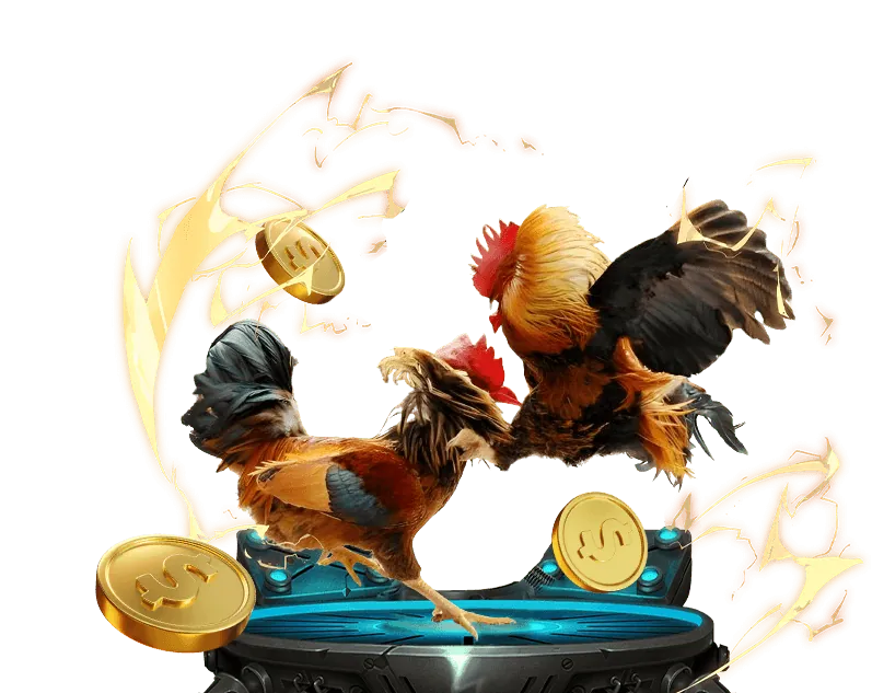 Tổng quan đá gà Thabet John